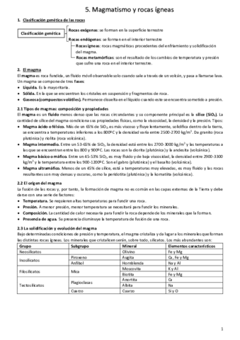 Tema-5.pdf