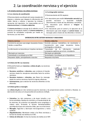 Resumen-T2.pdf
