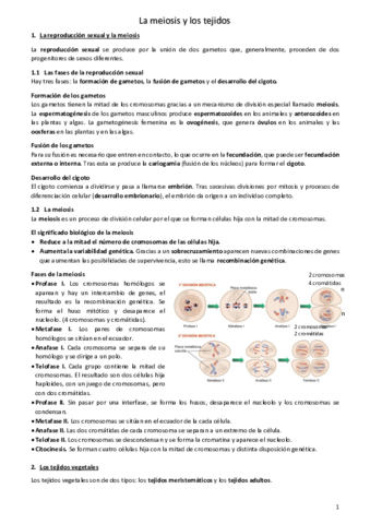 La-meiosis-y-los-tejidos.pdf