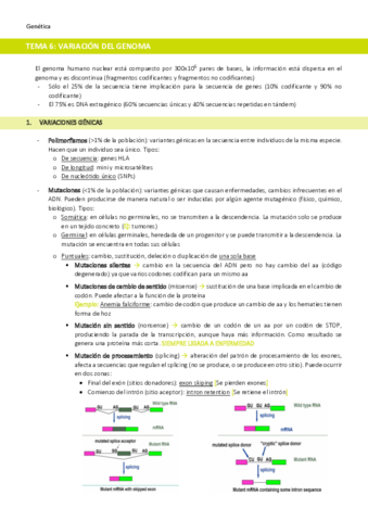 TEMA-6-Variacion-del-genoma.pdf