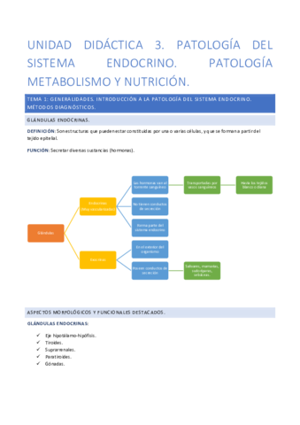 Endocrino-AMQ-III.pdf