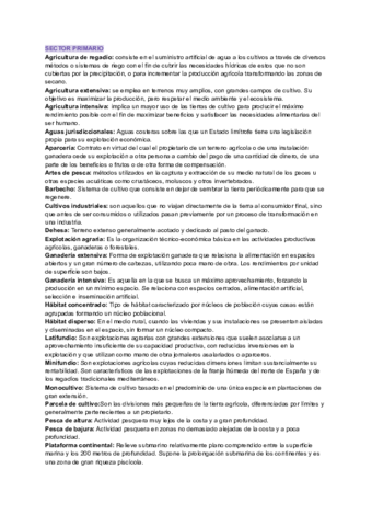 SECTOR-PRIMARIO.pdf