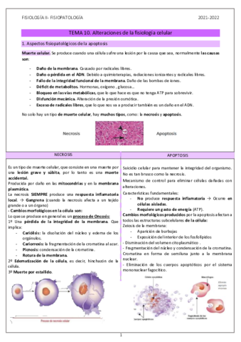 FISIOLOGIA-II-FISIOPATOLOGIA.pdf