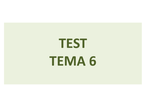 Test-Tema-6-2.pdf