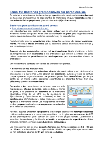 Tema-19-Micro-II.pdf