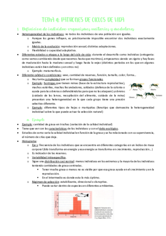TEMA-4-PATRONES-DE-CICLOS-DE-VIDA.pdf