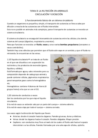 tema-8-biologia-1.pdf