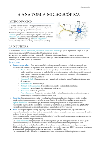 Neurociencia-Tema-2.pdf