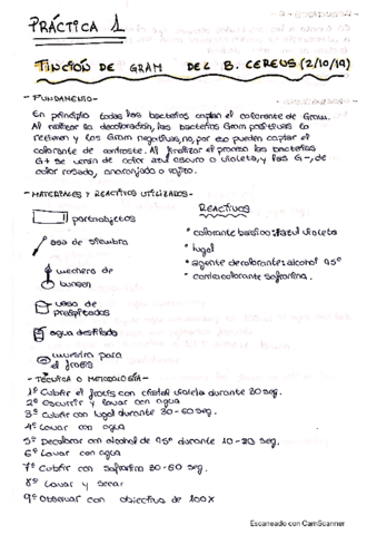 Pracricas-Microbiologia.pdf