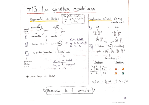 Genetica-mendeliana-y-otras-cuestiones.pdf