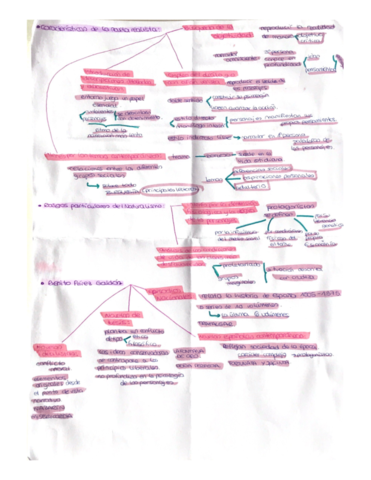 LA-NOVELA-REALISTA-EL-NATURALISMO.pdf