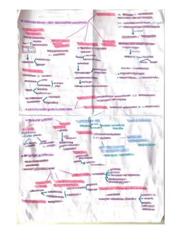 EL-MOVIMIENTO-ROMANTICO.pdf