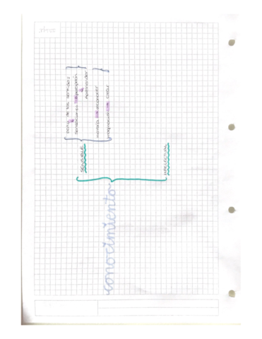 ESQUEMA-CONOCIMIENTO-FILOSOFIA.pdf