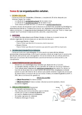 Resumenes-Tema-8-La-organizacion-celular.pdf