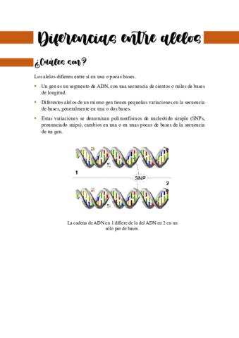 diferencias-entre-alelos.pdf