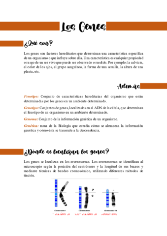 Los-Genes.pdf