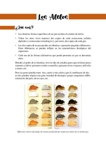 Los-alelos.pdf