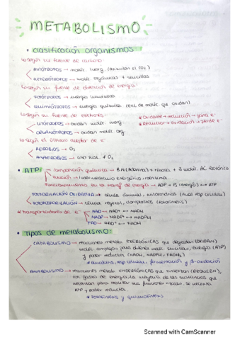 Resumen-metabolismo.pdf