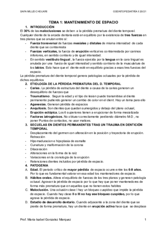 TEMA-1-MANTENIMIENTO-DE-ESPACIO.pdf