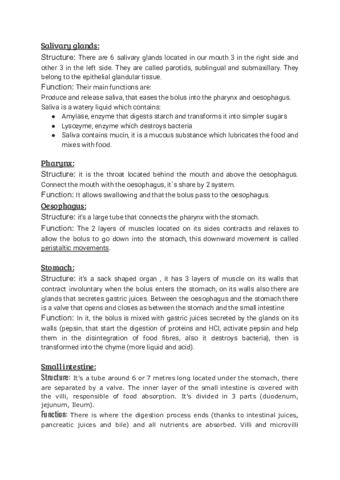 Digestive-and-respiratory-system.pdf