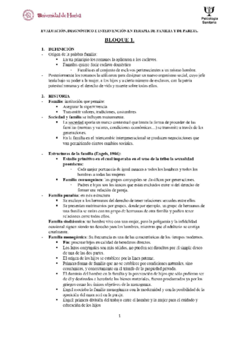 Evaluacion-diagnostico-e-intervencion-psicologica-en-pareja-y-familia.pdf