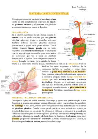 SISTEMA-GASTROINTESTINAL.pdf