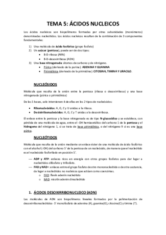 TEMA-5-Acidos-nucleicos.pdf