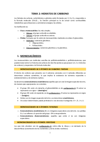 TEMA-2-Hidratos-de-carbono.pdf