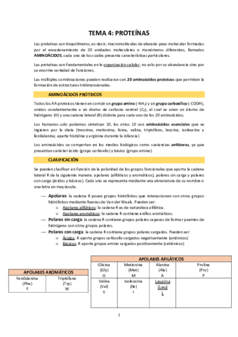 TEMA-4-Proteinas.pdf