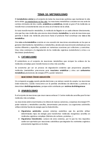 TEMA-10-Metabolismo.pdf