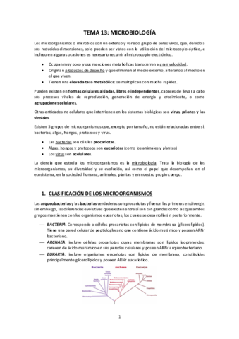 TEMA-13-Microbiologia.pdf