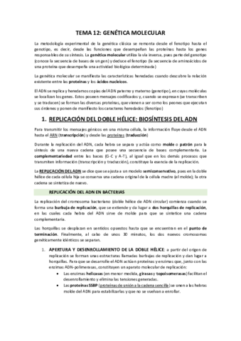 TEMA-12-Genetica-molecular.pdf