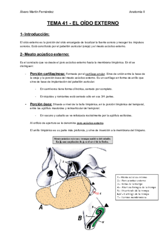 TEMA-41-EL-OIDO-EXTERNO.pdf