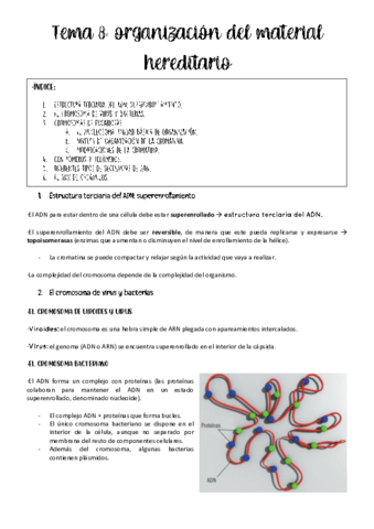 tema-8-genetica.pdf