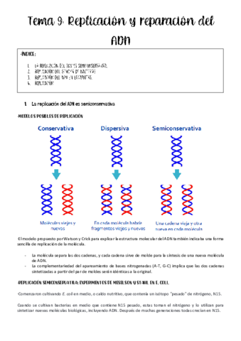 tema-9-genetica.pdf