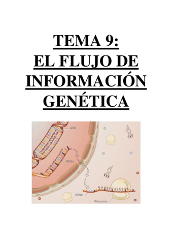 TEMA 9 - EL FLUJO DE INFORMACIÓN GENÉTICA.pdf