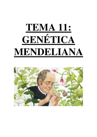TEMA 11 - GENÉTICA MENDELIANA.pdf