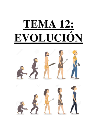 TEMA 12 - EVOLUCIÓN.pdf