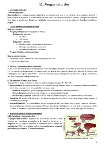 Los-riesgos-naturales.pdf