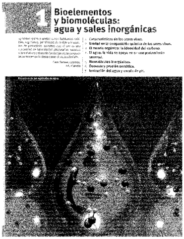 TEMA 1 - BIOELEMENTOS Y BIOMOLÉCULAS