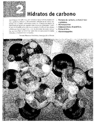 TEMA 2 - HIDRATOS DE CARBONO