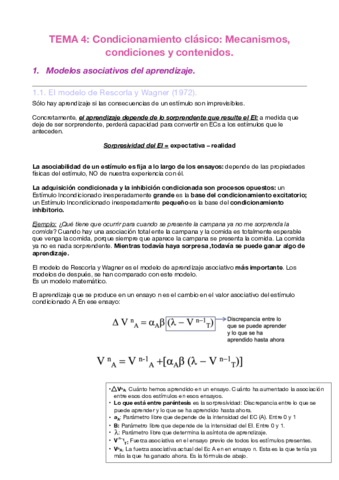 Tema 4.pdf