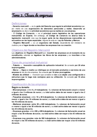 Tema-2-Clases-de-empresas.pdf
