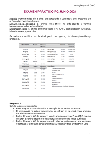 Examen-practico-PG-Junio-2021.pdf