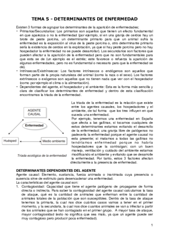 TEMA-5.pdf