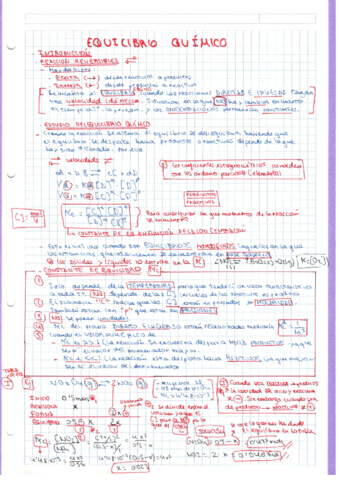 EQUILIBRIO-QUIMICO.pdf