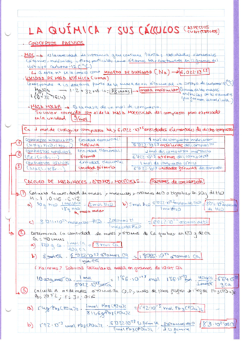 LA-QUIMICA-Y-SUS-CALCULOS.pdf