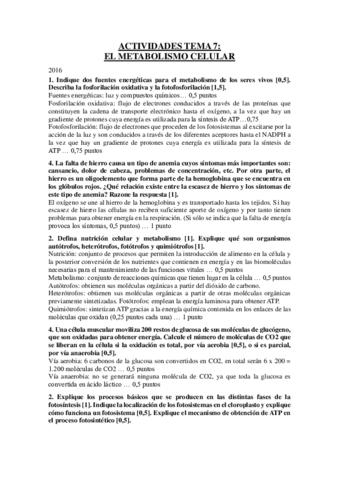 ACTS T7 - EL METABOLISMO CELULAR