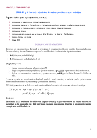 TEMA-4B.pdf