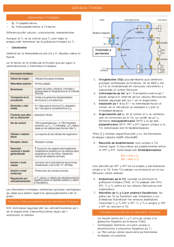 Tema-33.pdf